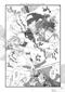 ̂񂾂琶P